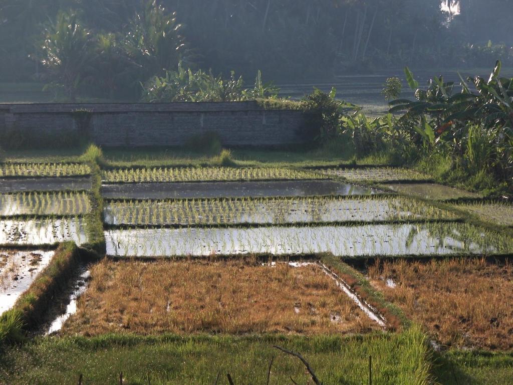 Villa Kawan Tanah Lot Oda fotoğraf